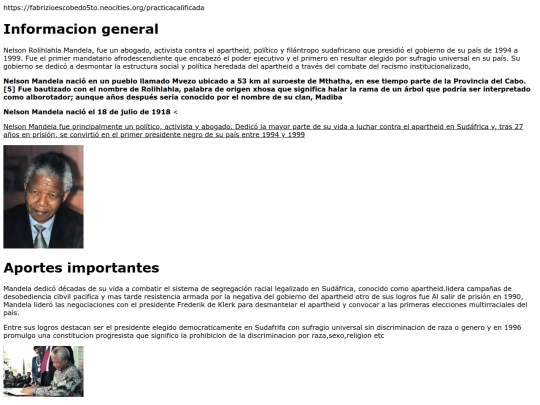 practicacalificada screenshot
