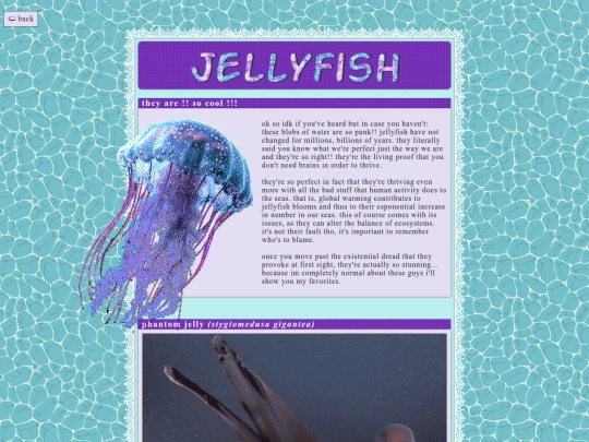 jellyfish screenshot