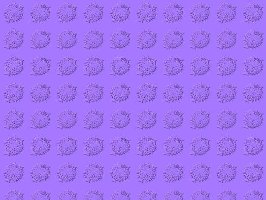 boot screenshot