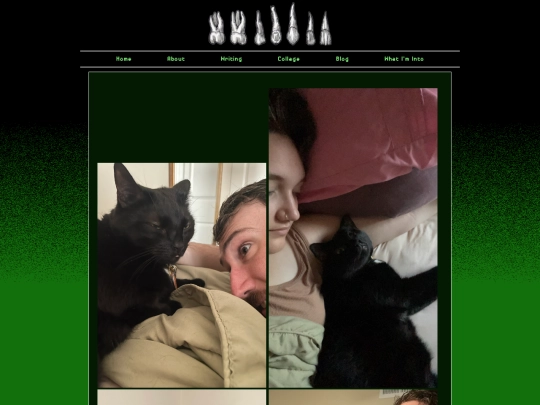 onion_pages/midnight_with_people screenshot