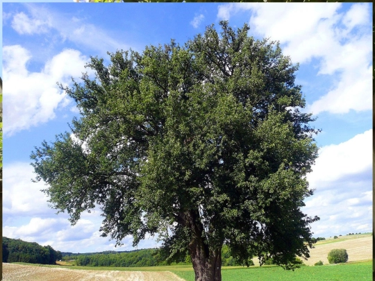 test screenshot