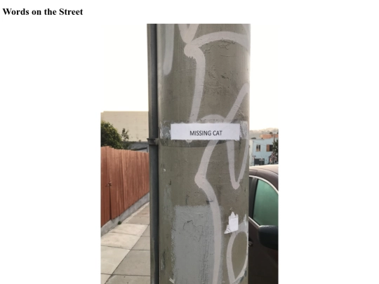 wordonthestreet screenshot