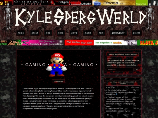 vidya screenshot