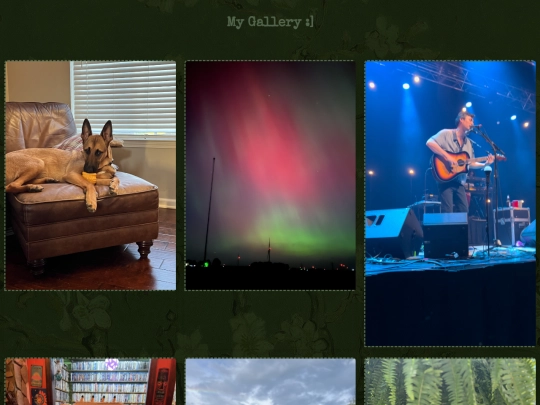 Gallery screenshot