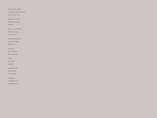 haiku screenshot