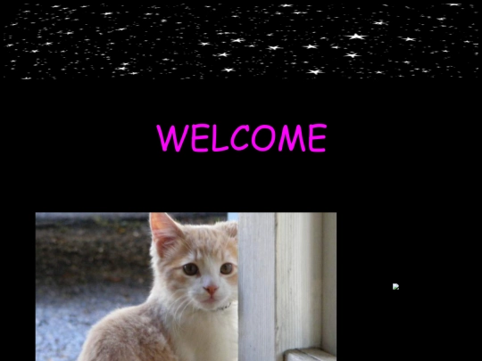 newweb screenshot