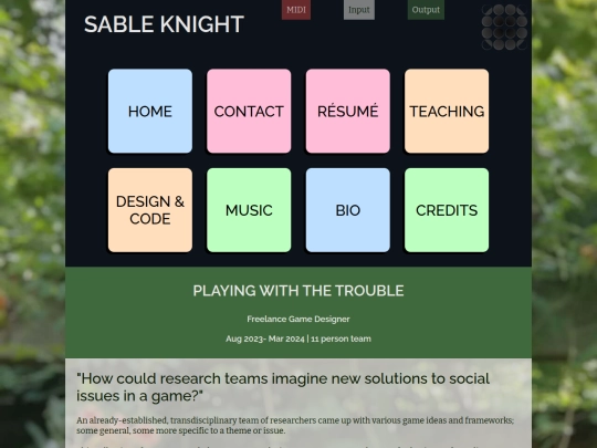 pageProjects/playingWithTheTrouble screenshot