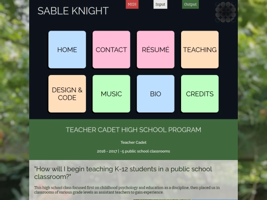 pageProjects/teacherCadet screenshot