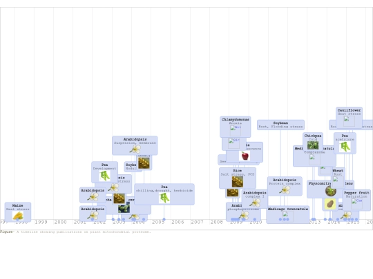 mitotimeline screenshot