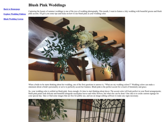 blog screenshot