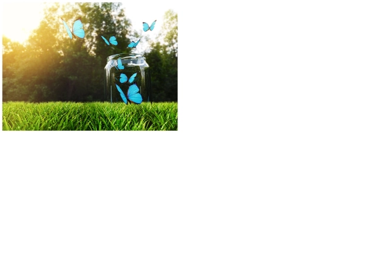 puzzle screenshot