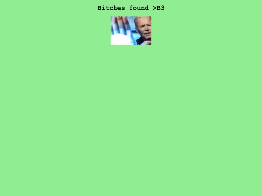 bitches screenshot