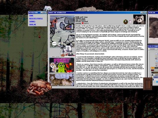 webmaster screenshot