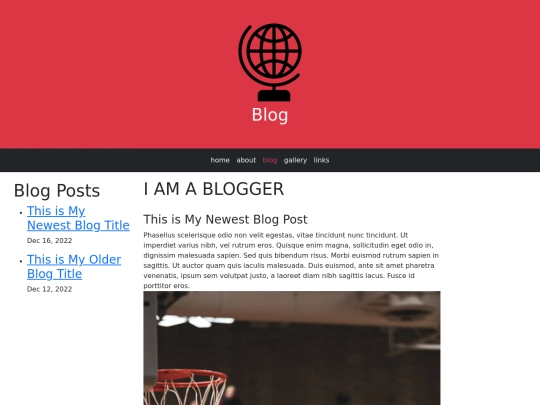 BS5_blog screenshot