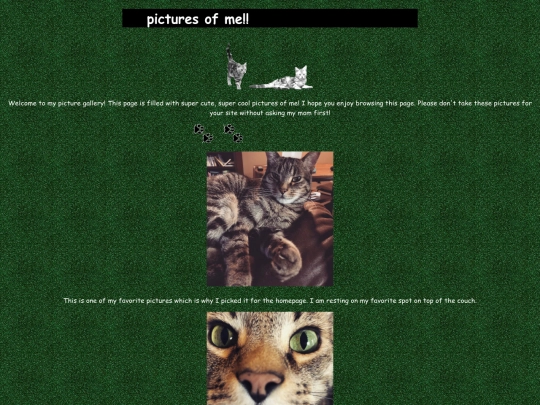 Riku/rikugallery screenshot