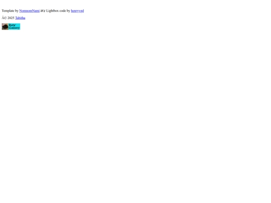 footer screenshot
