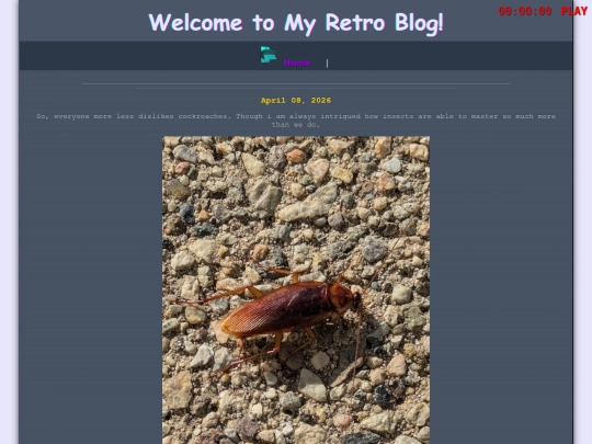 blog screenshot