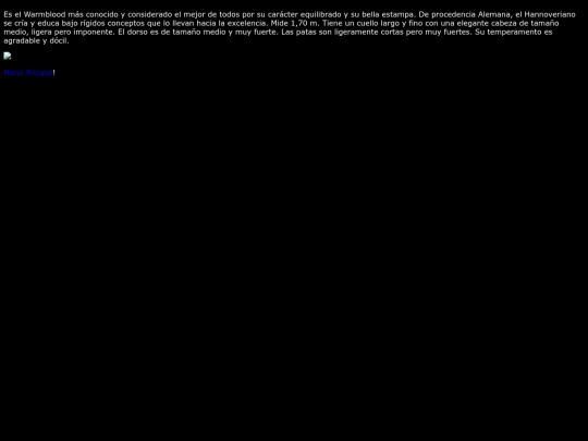pagina/WarmbloodHannoveriano screenshot