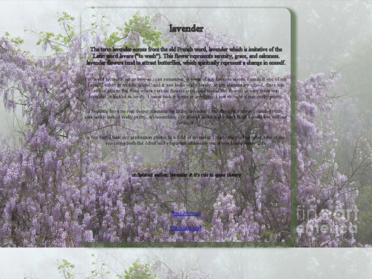 shrinez/lavender screenshot