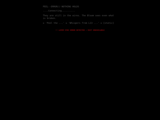 fragmented screenshot