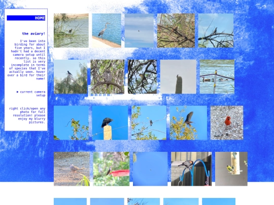 aviary screenshot