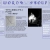 WORD SOUP avatar