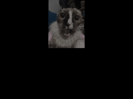 eepy screenshot
