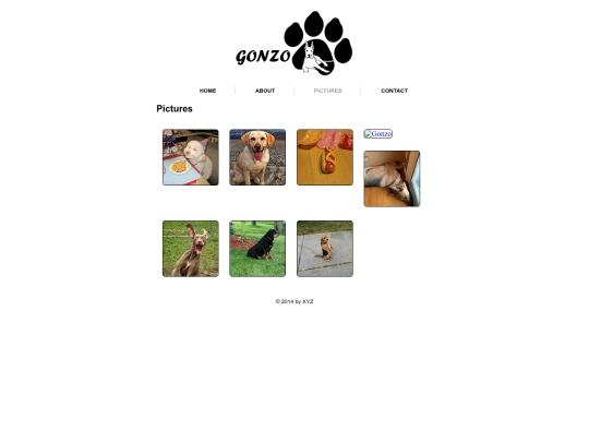Dogs/picture screenshot