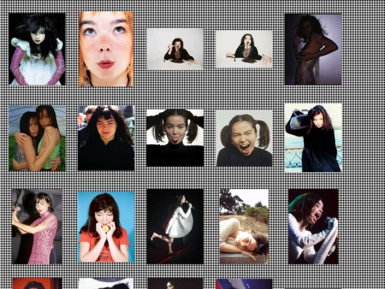 gallery/bjork screenshot