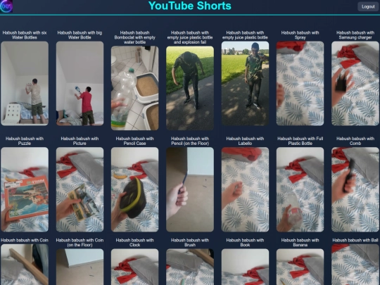 files/youtube-shorts screenshot