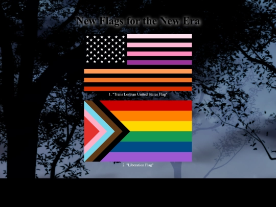 newflgs screenshot