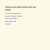 The web site of author Lisa Montali avatar