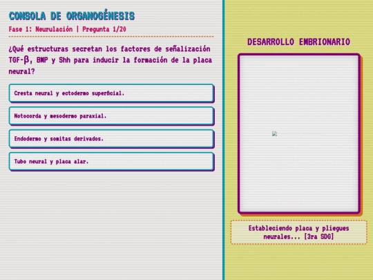 nivel10 screenshot