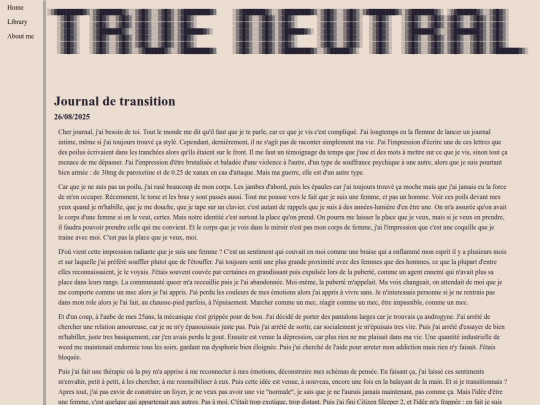 journal/26082025 screenshot