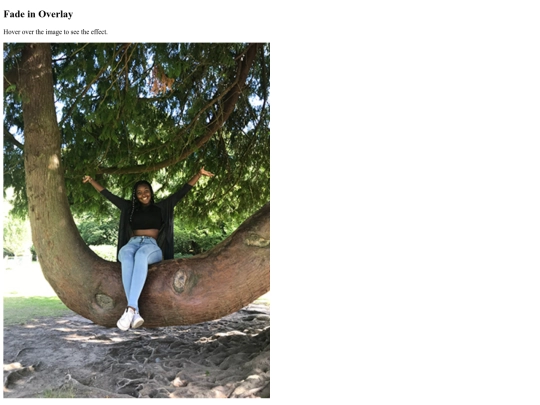 test screenshot