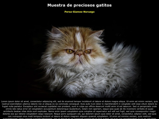 examen/examen screenshot