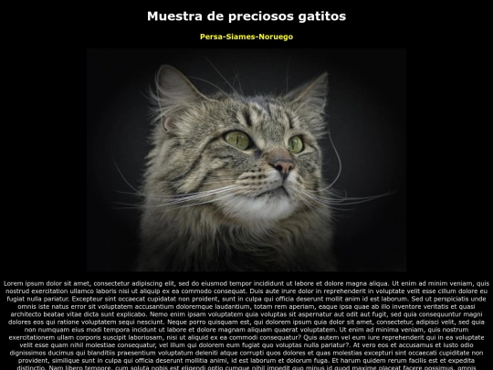 examen/noruego screenshot
