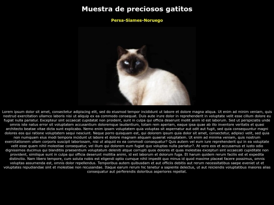 examen/siames screenshot