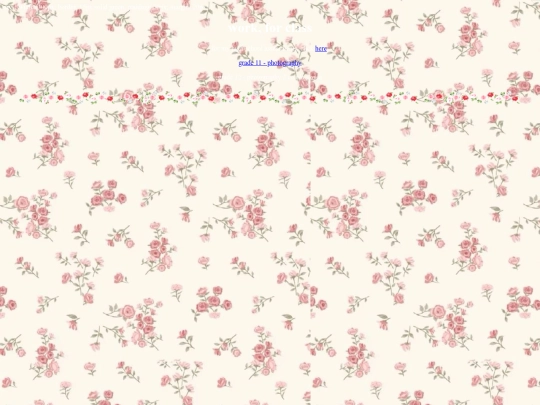 HS11 screenshot