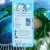 frocio.neocities.org avatar