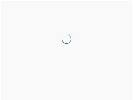 PRUEBA screenshot
