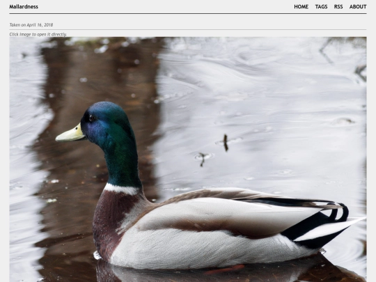 posts/2018-04-16-A4161909 screenshot