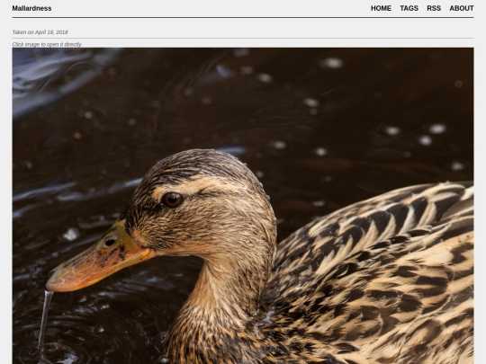 posts/2018-04-18-A4182213 screenshot