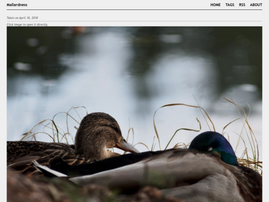 posts/2018-04-18-A4182287 screenshot