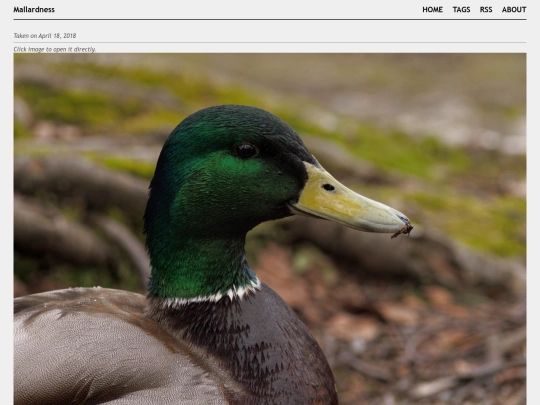 posts/2018-04-18-A4182322 screenshot