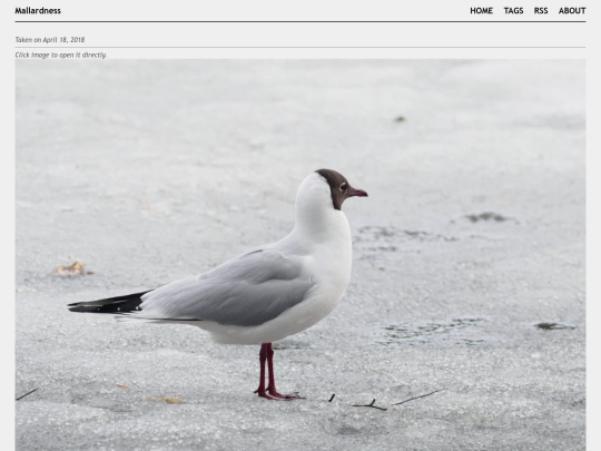 posts/2018-04-18-A4182329 screenshot