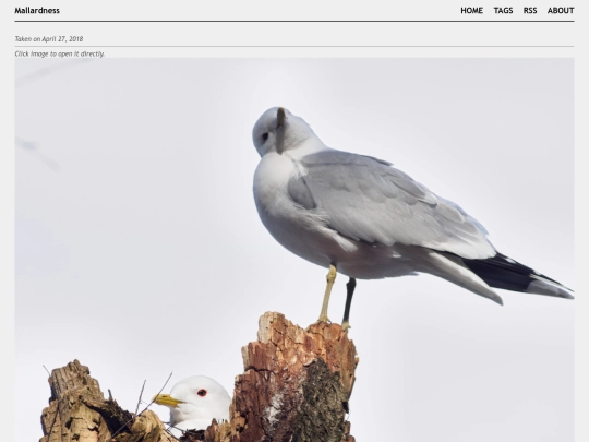 posts/2018-04-27-A4273004 screenshot
