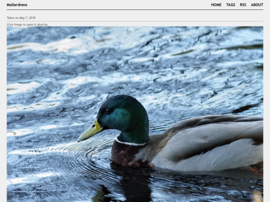 posts/2018-05-07-A5073627 screenshot
