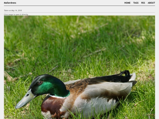posts/2018-05-14-A5143819 screenshot