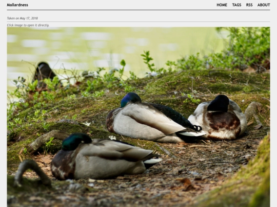 posts/2018-05-17-A5174017 screenshot